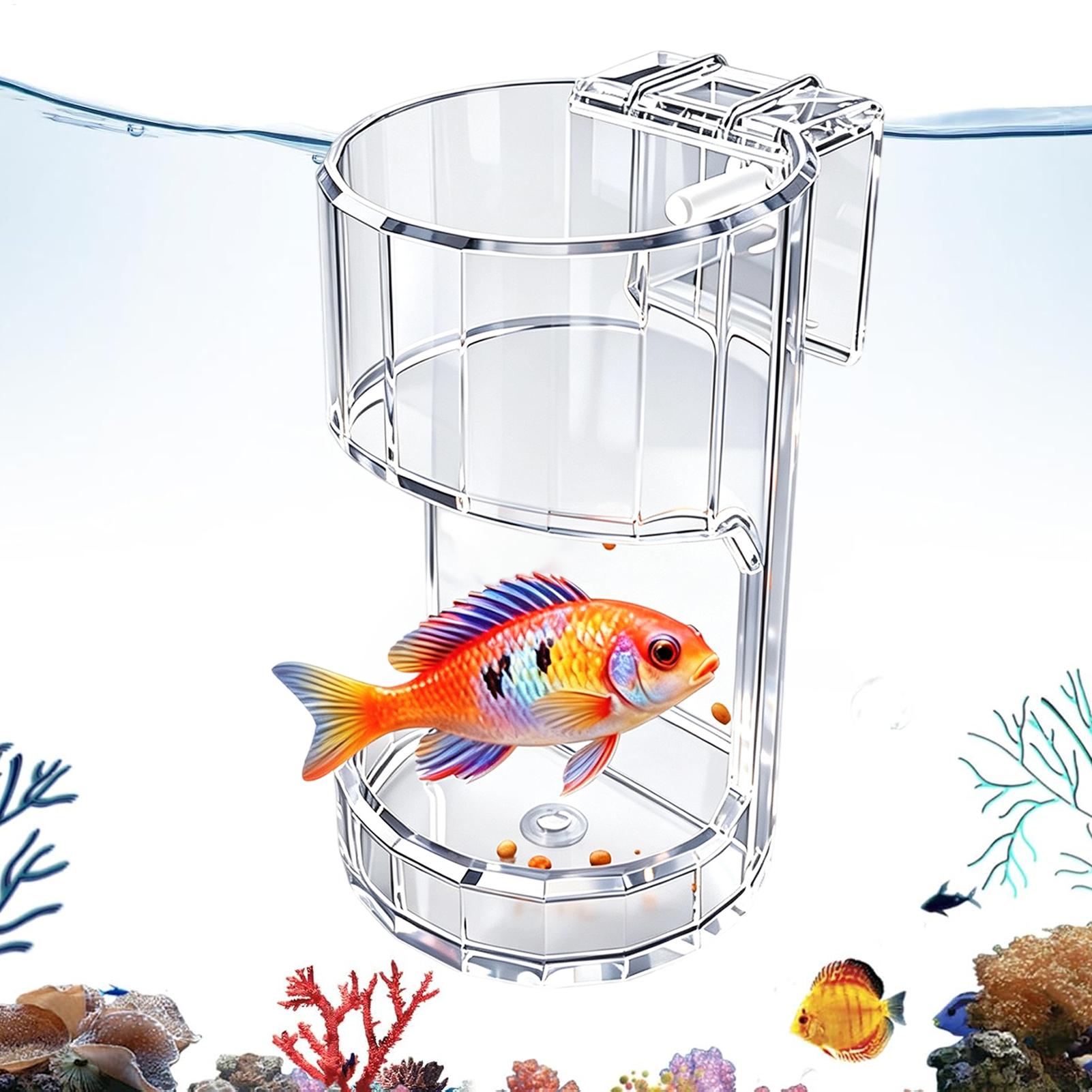 Aquarium Fish Food - Aquarium Feeding Dish Transparent Food Bowl