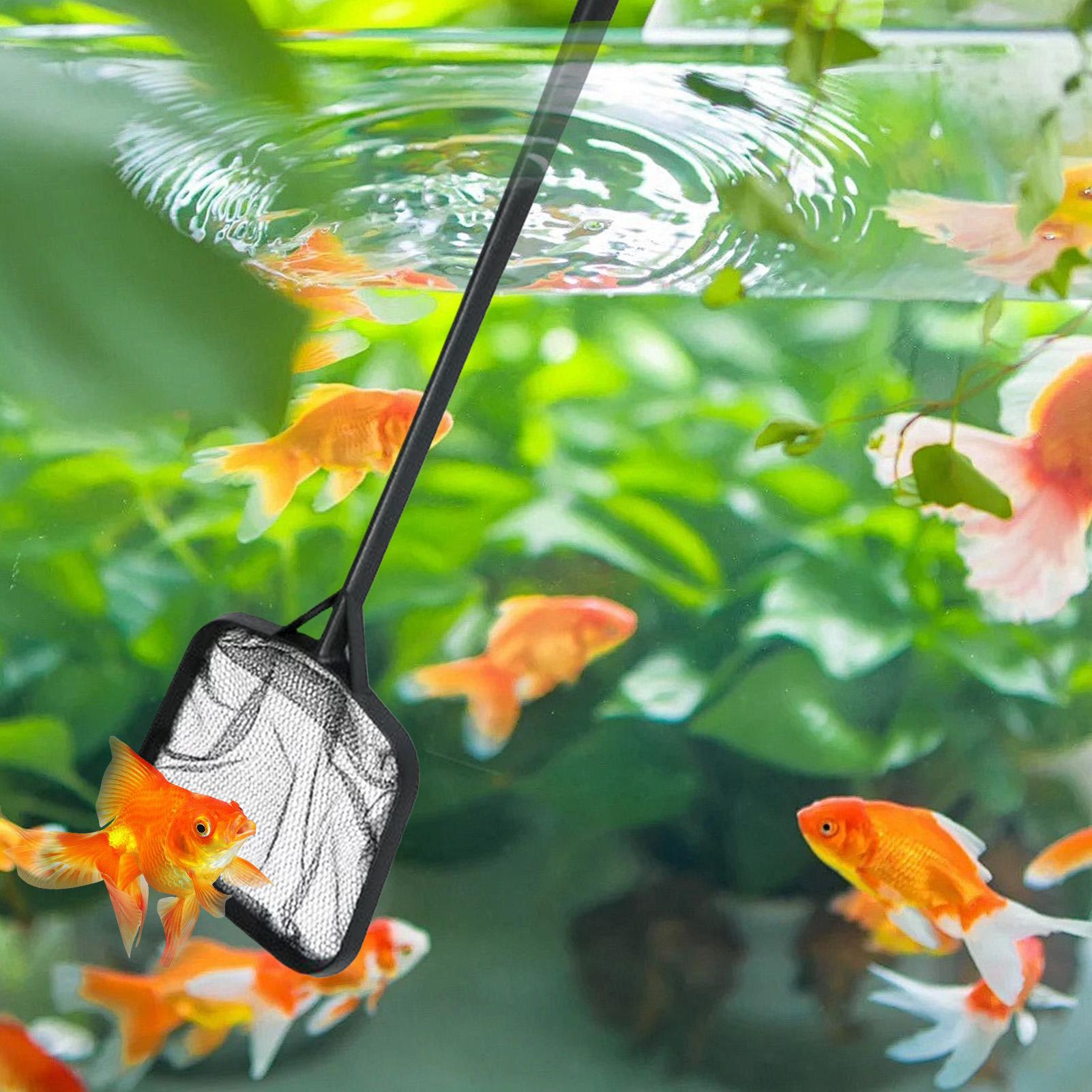 Pool Nets for Cleaning Portabl - огляд і ціна Cleaner Fish Aquarium