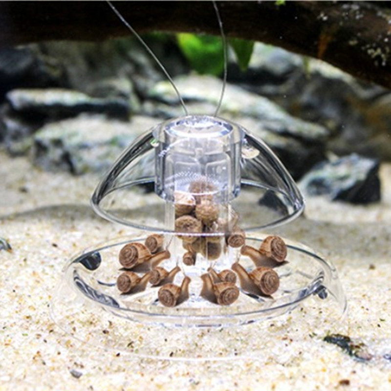1PCS Fish Tank Aquarium Cleane - огляд і ціна Cleaner Fish Aquarium