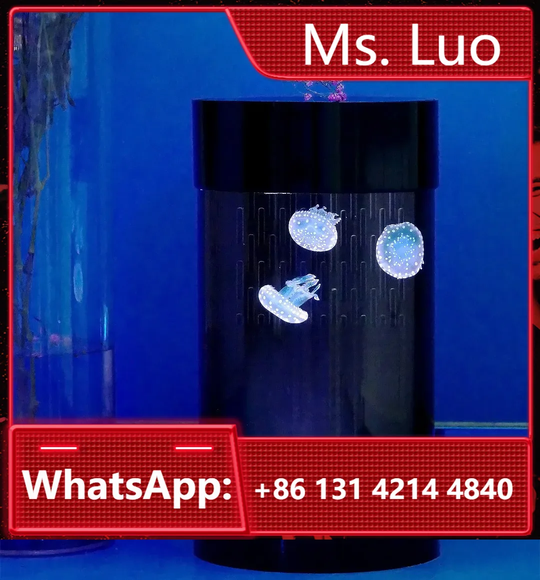 Best Amazon Sales Jellyfish Ta - огляд і ціна Aquarium Fish In Amazon