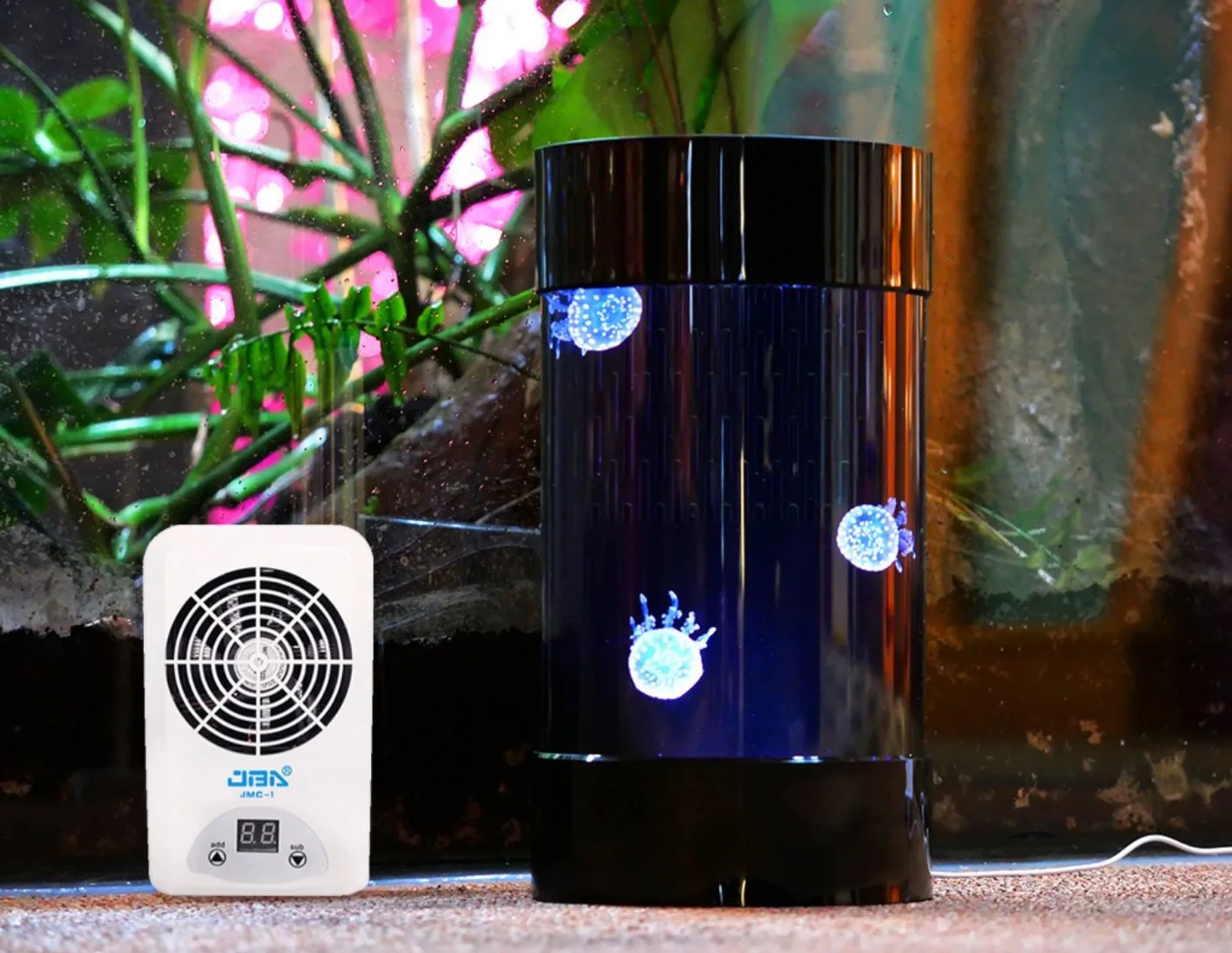 Best Amazon Sales Jellyfish Ta - огляд і ціна Aquarium Fish In Amazon