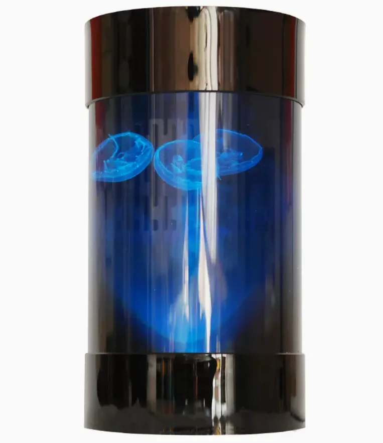 Best Amazon Sales Jellyfish Ta - огляд і ціна Aquarium Fish In Amazon