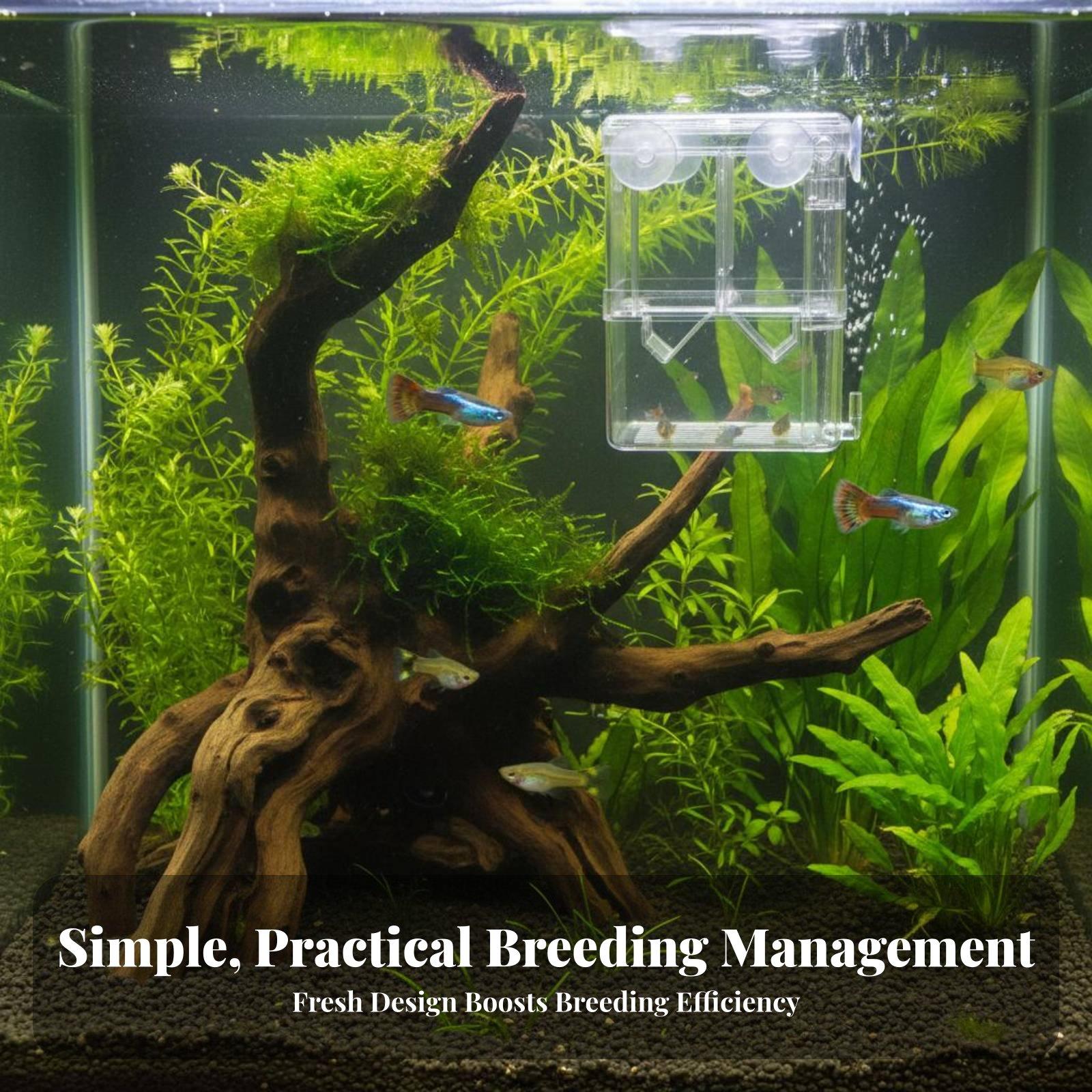 Double Layer Aquarium Breeding - огляд і ціна Aquarium Fishes