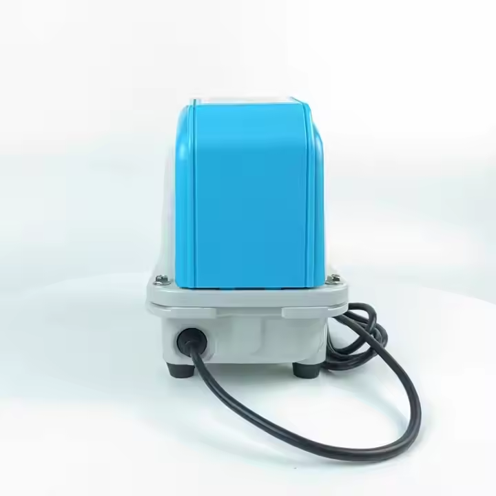 High Quality Aquarium External - огляд і ціна Aquarium Fish High Price