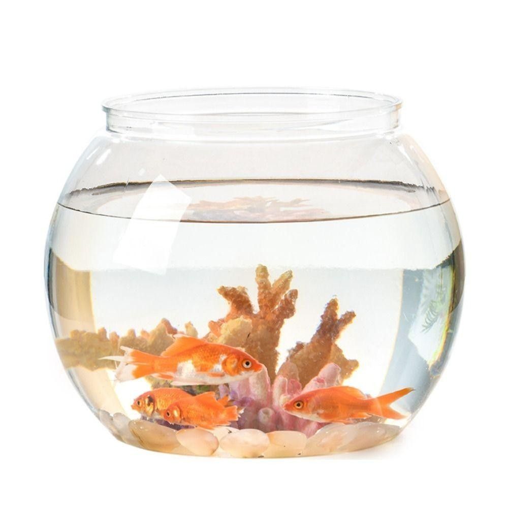 Portable Transparent Fish Tank - огляд і ціна Aquarium Fish Goldfish