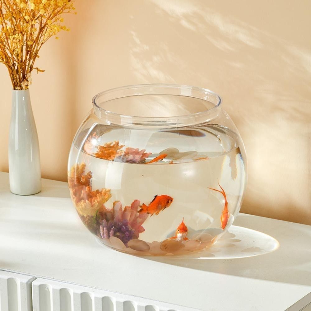 Portable Transparent Fish Tank - огляд і ціна Aquarium Fish Goldfish