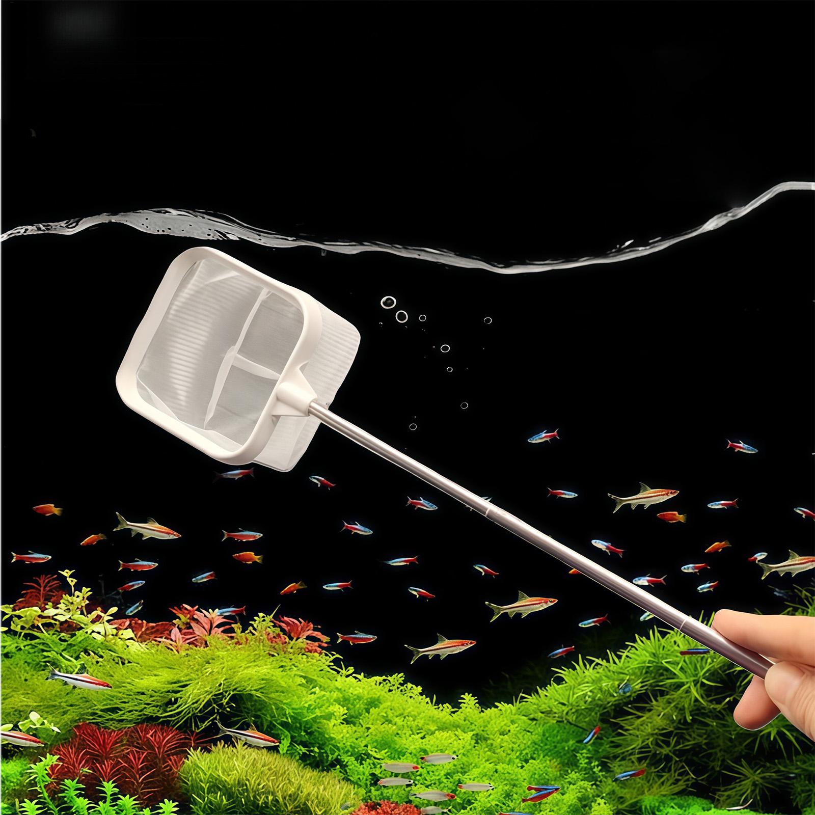 Extendable Long Handle Fine Me - огляд і ціна Fish Net Handle