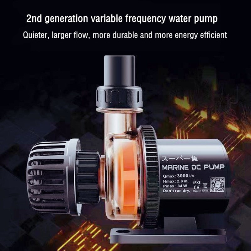 Custom Factory Wholesale Price - огляд і ціна Aquarium Fish High Price