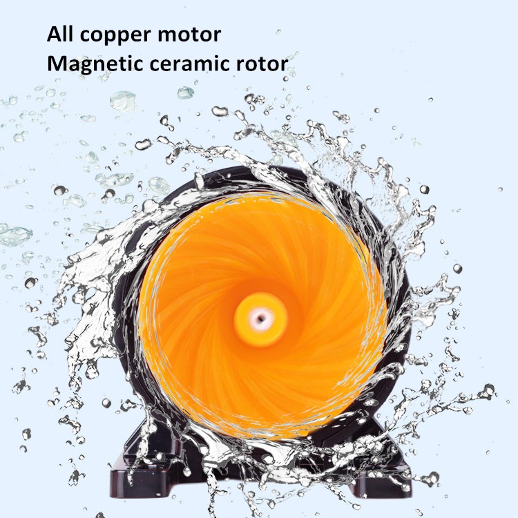 Custom Factory Wholesale Price - огляд і ціна Aquarium Fish High Price