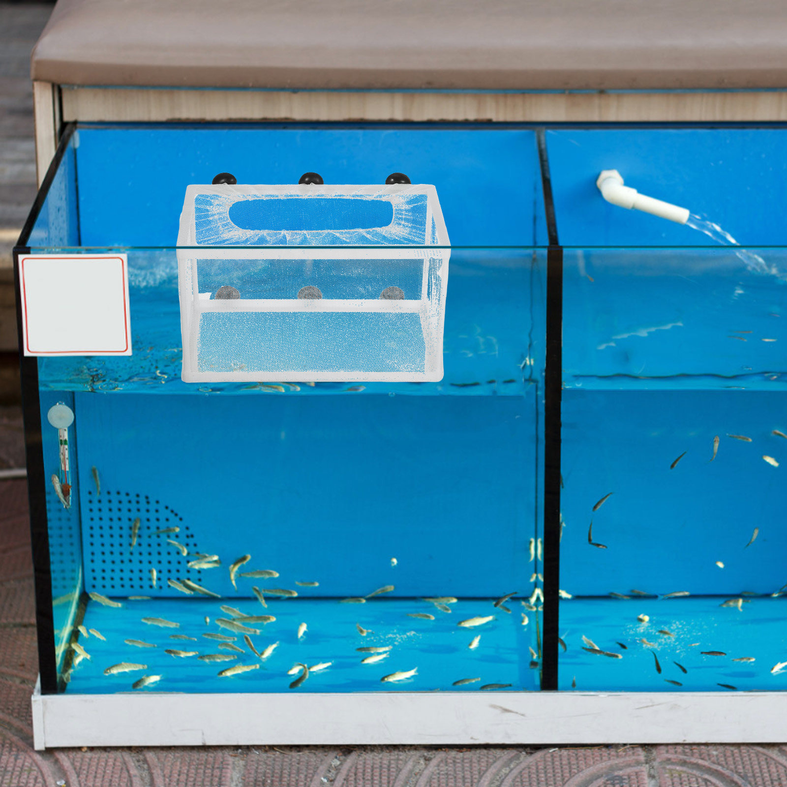 Fish Net Big Size Fry Hatchery - огляд і ціна Aquarium Fish Net Big Size